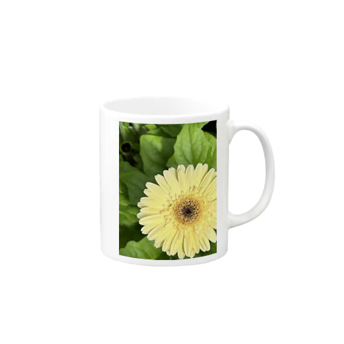 ガーベラ Mug