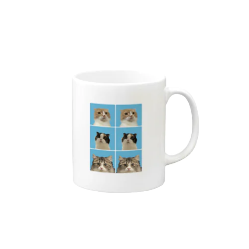 俺んちのねこたちの証明写真 Mug