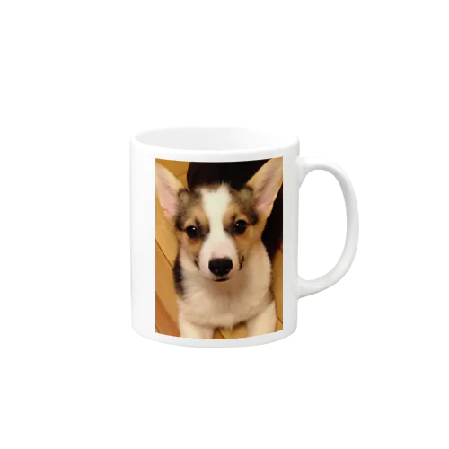 うちのこちび2 Mug