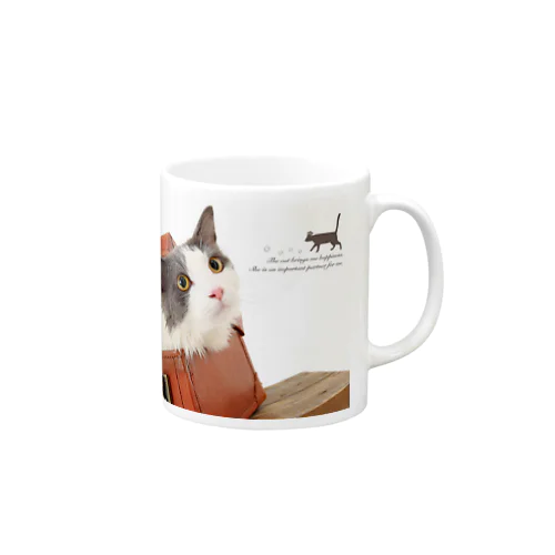箱入り猫 Mug