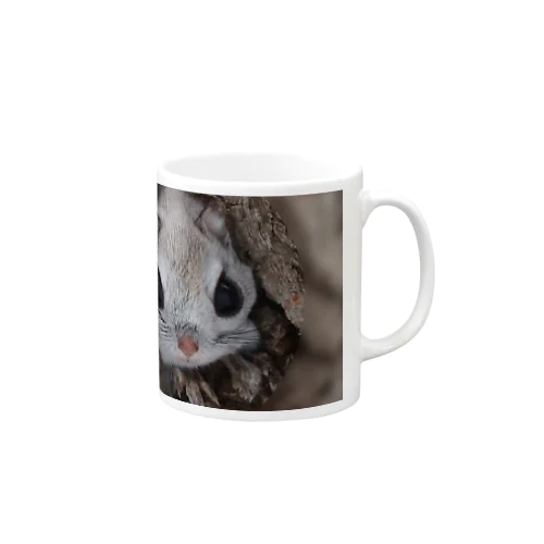 心とカラダの栄養を◆サロベツのエゾモモンガ Mug
