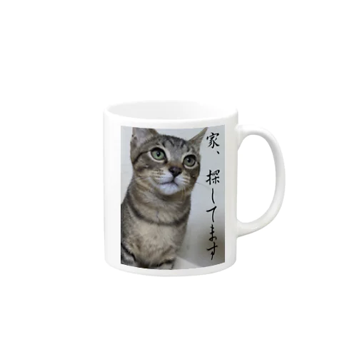 おうちさがしねこ Mug