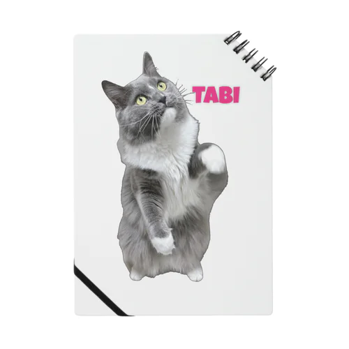 くつしたねこのたび Notebook