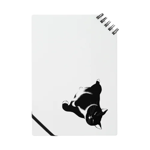 猫のコロン Notebook