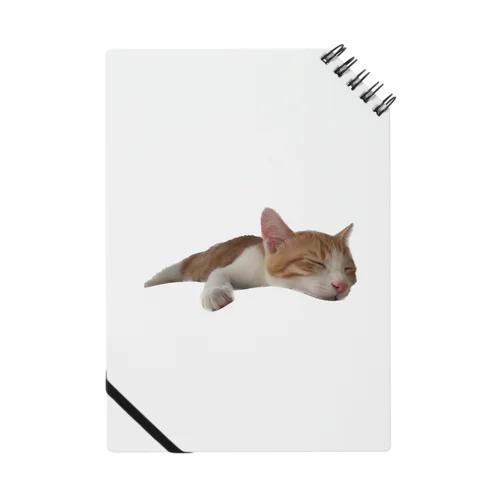 うちの猫が寝てます Notebook