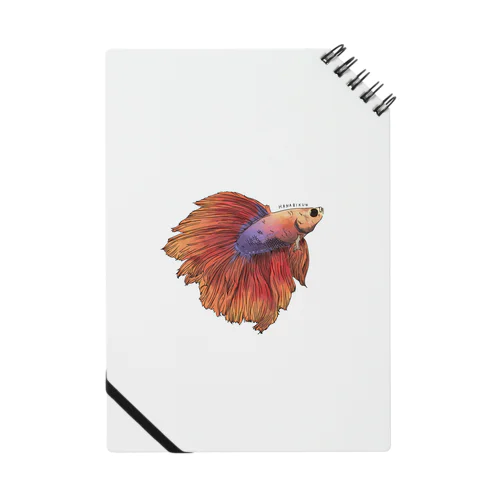 花火くん Notebook