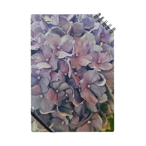 紫陽花のくに Notebook