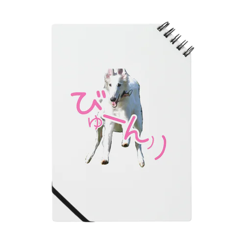 びゅーんルイーゼ Notebook