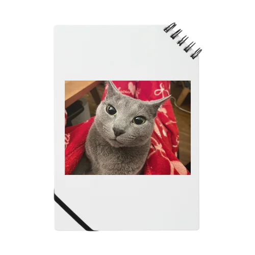 TikTokのアイコングッズ Notebook