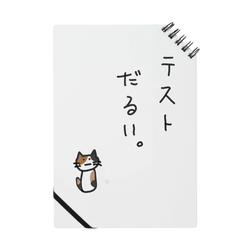 テストだるい猫 Notebook