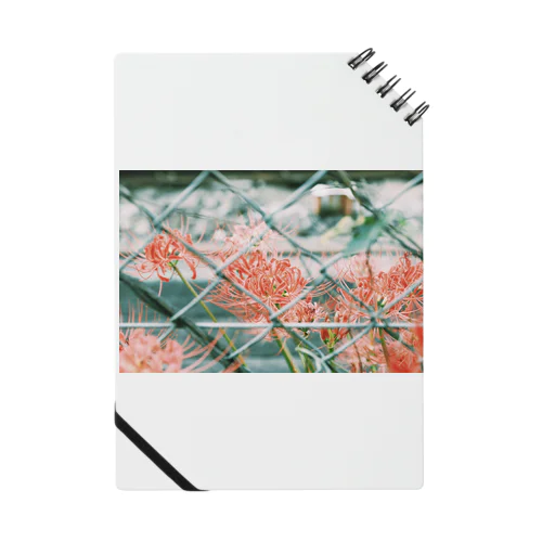 影だけ持ち帰らせて Notebook