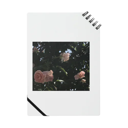 グリーンとピンク Notebook