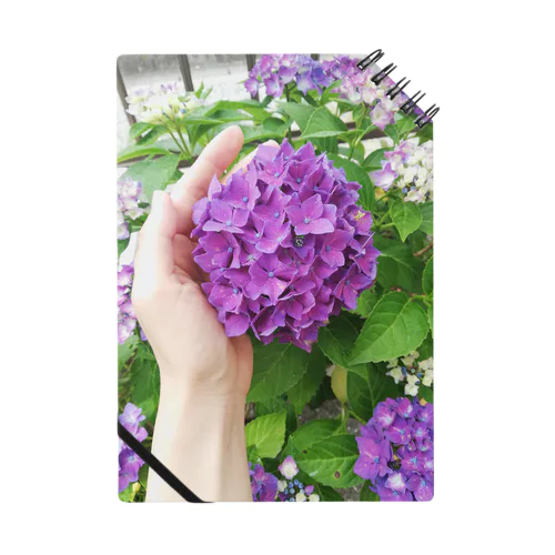 カマキリを探せ Notebook