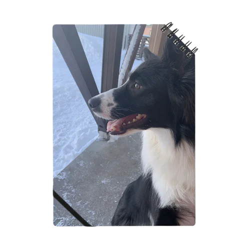 ボーダーコリーのゆうちゃん Notebook