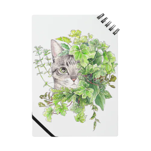 【瑞葉】 Notebook