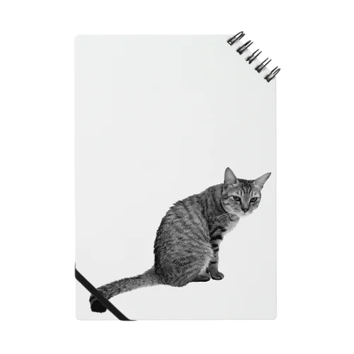 見返りニャンコ Notebook