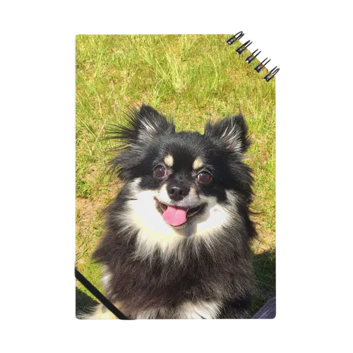 ルルくん〜草原にて〜 Notebook