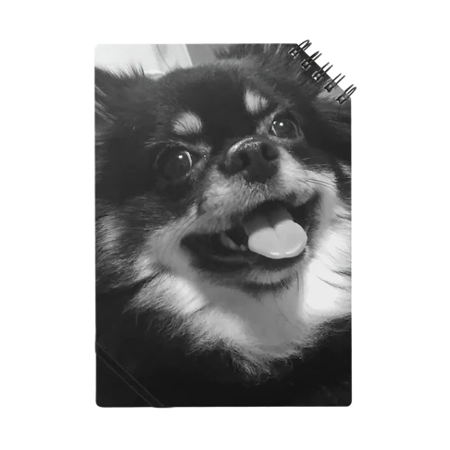 ルルくんモノトーン Notebook