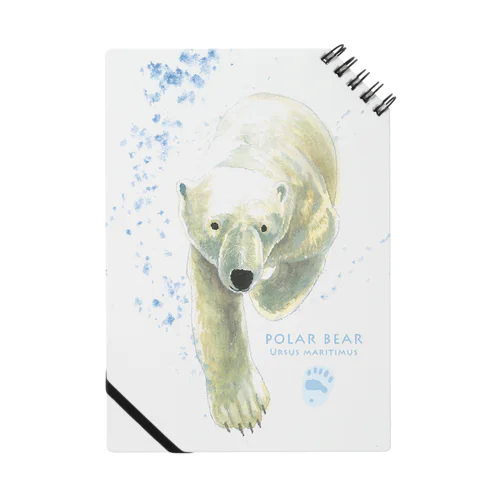 ホッキョクグマ Notebook
