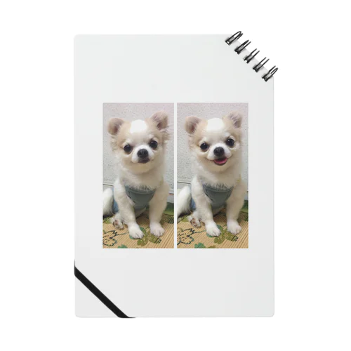 たくわん Notebook