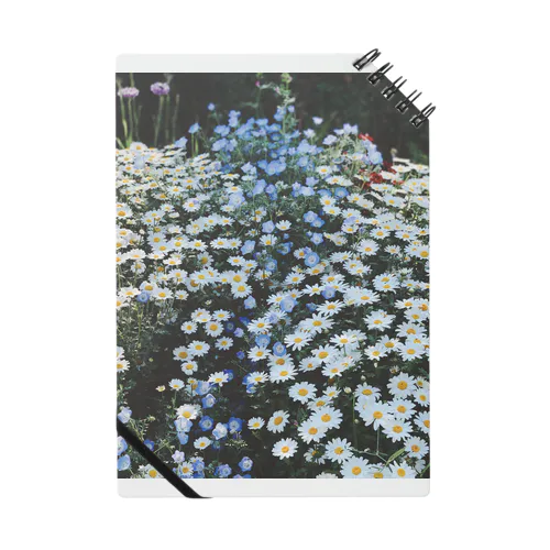 春の終わり Notebook