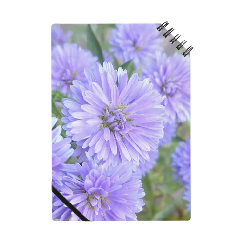 おばあちゃんが育てたむらさきの花 Notebook