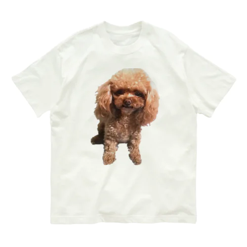 こもちクッション Organic Cotton T-Shirt