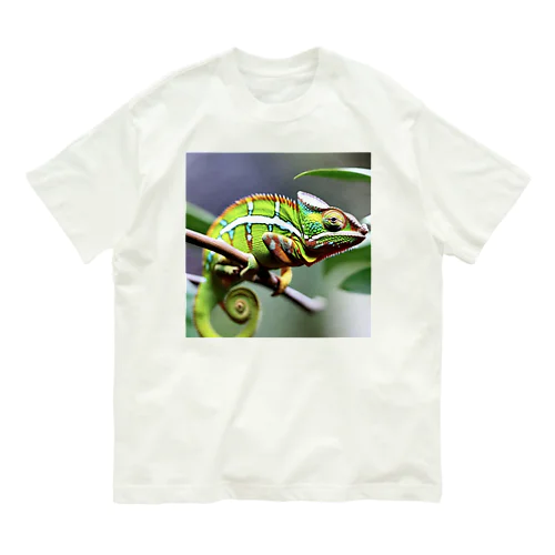 カラフルカメレオン Organic Cotton T-Shirt