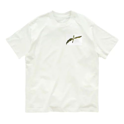 アグラオネマ Organic Cotton T-Shirt
