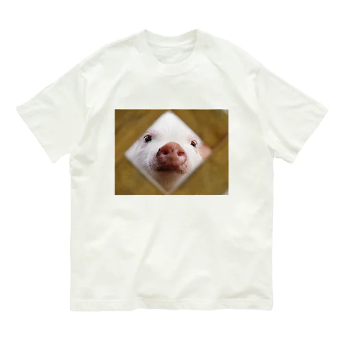 どあっぷ（ぶたさん） Organic Cotton T-Shirt
