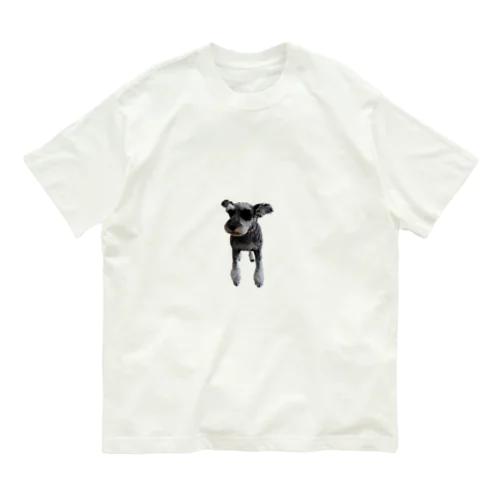 ZARAME T Organic Cotton T-Shirt