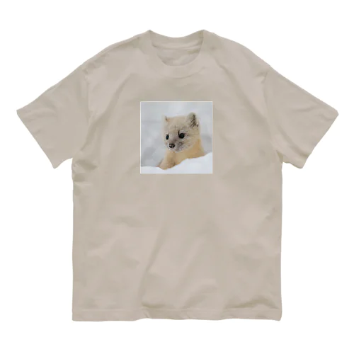 【心とカラダの栄養】サロベツのエゾクロテン Organic Cotton T-Shirt