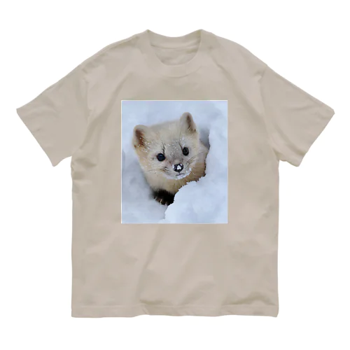 【春の心と体に栄養】サロベツのエゾクロテン Organic Cotton T-Shirt