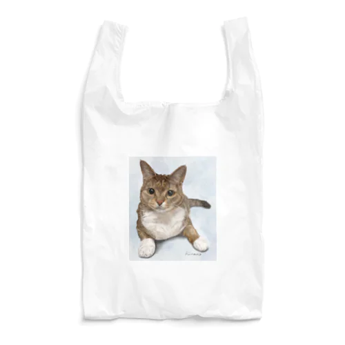 たいがちゃん１ Reusable Bag