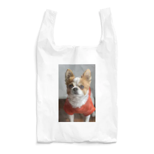 真顔のそらくん Reusable Bag