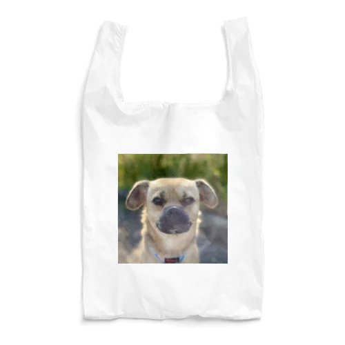 ステージを一つ上がったシンプル Reusable Bag