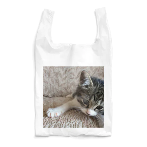 こねこのパル～南の島のにゃんこ～ Reusable Bag