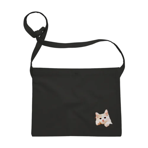 ふぉるたんはねこ Sacoche