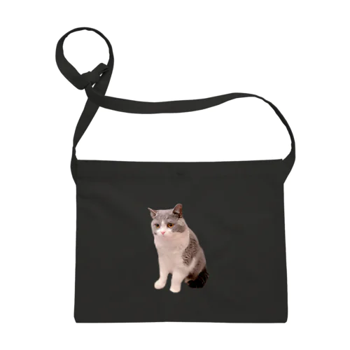 ブリティッシュのレオン Sacoche