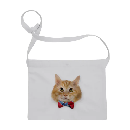 茶色いフワフワ猫 Sacoche