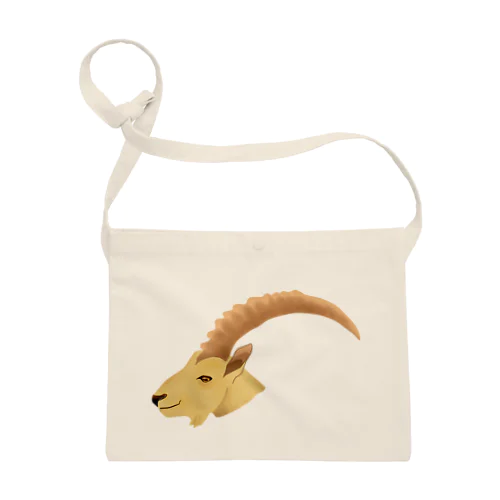 アイベックス Sacoche