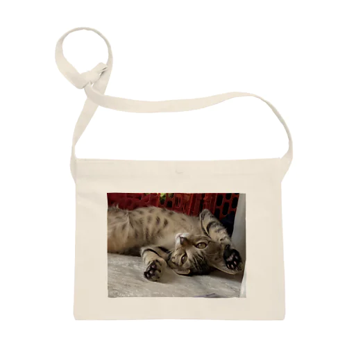 おれのねこ Sacoche