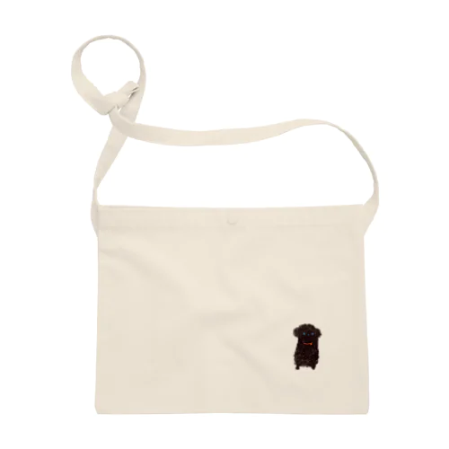 sitting Gabu Sacoche