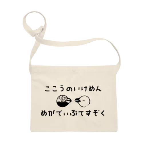 【孤高のイケメン】メガディプテス属のペンギン Sacoche