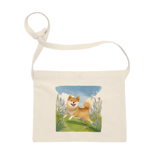 柴犬のお散歩 Sacoche