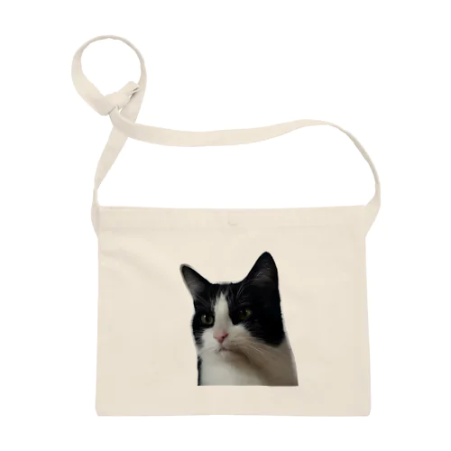虚無な猫 Sacoche