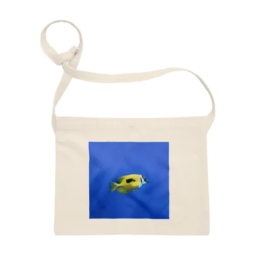 Fish＆Blue Sacoche