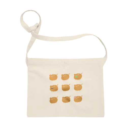 九匹のカピバラもどき Sacoche