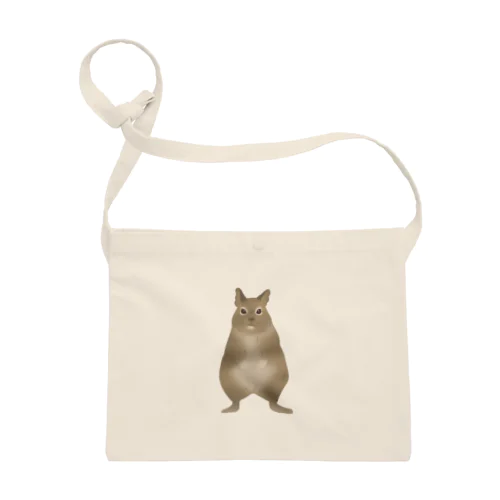 デグーのルプくん Sacoche