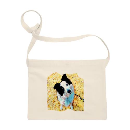 銀杏とラッフィ Sacoche